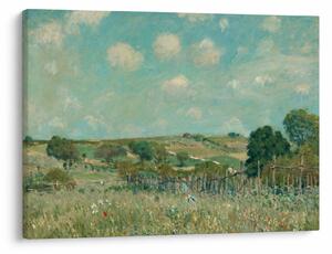 Obraz - Alfred Sisley, Meadow, reprodukcia (70x50 cm)