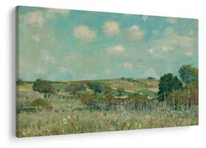 Obraz - Alfred Sisley, Meadow, reprodukcia (90x60 cm)