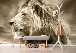 Samolepiaca tapeta africký lev v sépiovom prevedení - 225x150