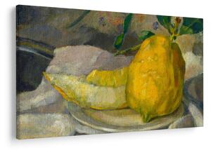Obraz - French 19th Century, Melon and Lemon, reprodukcia (90x60 cm)