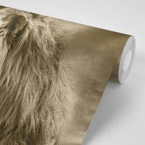 Samolepiaca tapeta africký lev v sépiovom prevedení - 225x150
