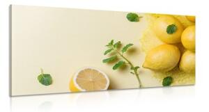 Obraz citróny s mätou - 100x50