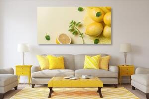 Obraz citróny s mätou - 100x50