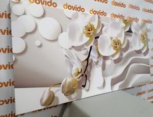 Obraz orchidea na abstraktnom pozadí - 100x50