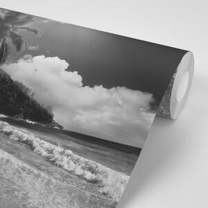 Samolepiaca fototapeta pláž na ostrove Seychely v čiernobielom - 450x300