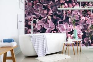 Samolepiaca fototapeta fialové kvety orgovánu - 150x100