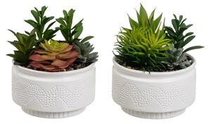 Umelé rastliny v súprave 2 ks (výška 19 cm) Cactus – Casa Selección