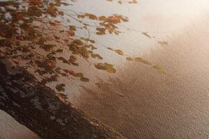 Obraz hmlistý jesenný les - 100x50