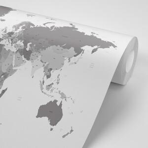 Samolepiaca tapeta detailná mapa sveta v čiernobielom prevedení - 225x150
