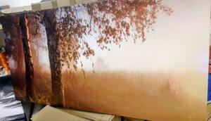 Obraz hmlistý jesenný les - 100x50