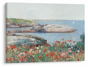 Obraz - Childe Hassam, Poppies, Isles of Shoals, reprodukcia (70x50 cm)