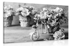 Obraz romantický karafiát vo vintage nádychu v čiernobielom prevedení - 120x80