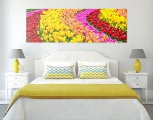 Obraz pestrofarebné tulipány - 120x40