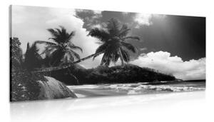 Obraz nádherná pláž na ostrove Seychely v čiernobielom prevedení - 100x50