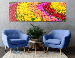 Obraz pestrofarebné tulipány - 120x40
