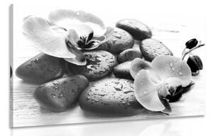 Obraz krásna súhra kameňov a orchidey v čiernobielom prevedení - 120x80