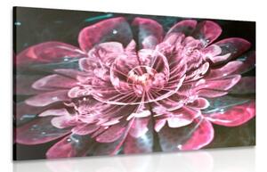 Obraz magický ružový kvet - 60x40