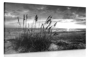 Obraz západ slnka na pláži v čiernobielom prevedení - 60x40