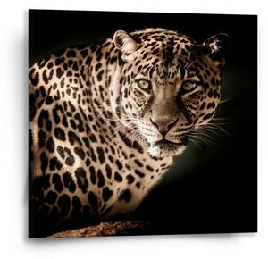 Sablio Obraz Leopard - 50x50 cm