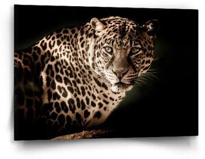 Sablio Obraz Leopard - 60x40 cm