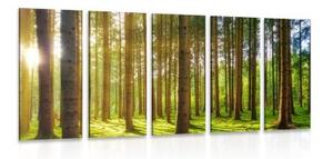 5-dielny obraz ráno v lese - 100x50