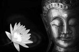 Samolepiaca tapeta božský čiernobiely Budha - 225x150