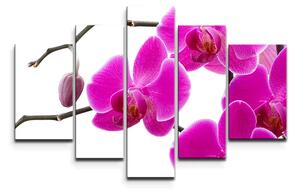 Sablio Obraz - 5-dílný Fialové Orchidey - 125x90 cm