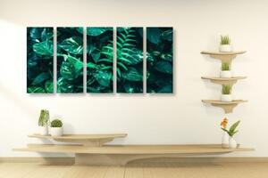 5-dielny obraz svieže tropické listy - 100x50