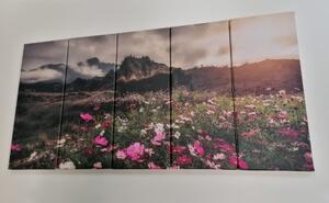 5-dielny obraz lúka kvitnúcich kvetov - 100x50