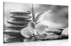 Obraz meditačná Zen kompozícia v čiernobielom prevedení - 60x40