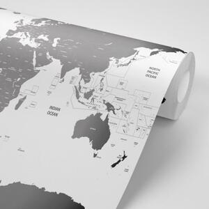 Tapeta mapa sveta s jednotlivými štátmi v šedej farbe - 300x200