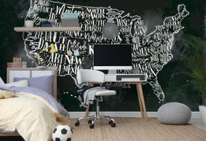 Samolepiaca tapeta náučná mapa USA s jednotlivými štátmi - 225x150