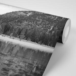 Samolepiaca fototapeta čiernobiele jazero obklopené prírodou - 300x200