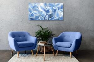 Obraz modro-biele kvety hortenzie - 100x50