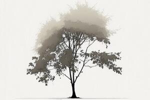 Obraz minimalistický listnatý strom - 60x40