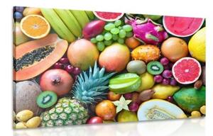 Obraz tropické ovocie - 90x60
