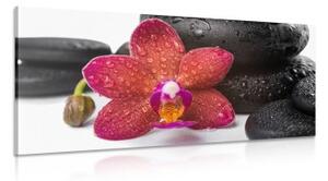 Obraz orchidea a Zen kamene na bielom pozadí - 100x50