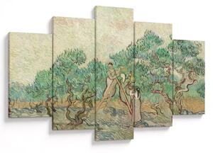 Obraz - Vincent van Gogh, The Olive Orchard, reprodukcia (150x105 cm)