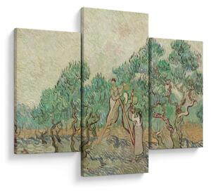 Obraz - Vincent van Gogh, The Olive Orchard, reprodukcia (90x60 cm)