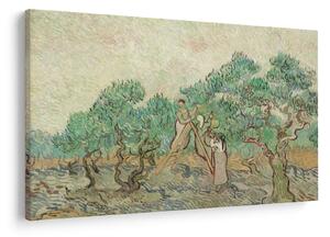 Obraz - Vincent van Gogh, The Olive Orchard, reprodukcia (90x60 cm)