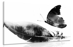 Obraz pierko s motýľom v čiernobielom prevedení - 120x80
