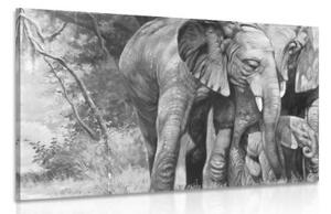 Obraz slonia rodinka v čiernobielom prevedení - 90x60