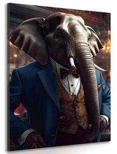 Obraz zvierací gangster slon - 40x60