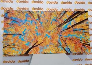 Obraz jesenné koruny stromov - 100x50