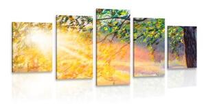5-dielny obraz východ slnka v lese - 100x50
