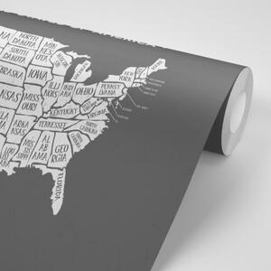 Tapeta náučná mapa USA v čiernobielom - 375x250