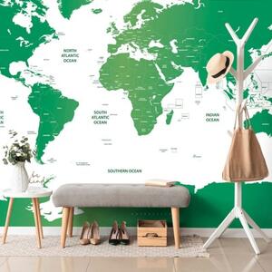 Samolepiaca tapeta mapa sveta s jednotlivými štátmi v zelenej farbe - 450x300