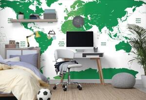 Samolepiaca tapeta mapa sveta s jednotlivými štátmi v zelenej farbe - 450x300