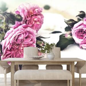 Samolepiaca fototapeta ruže v rozkvete - 225x150