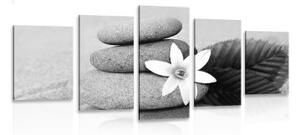 5-dielny obraz kvet a kamene v piesku v čiernobielom prevedení - 100x50